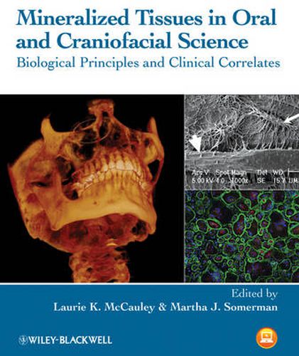 Cover image for Mineralized Tissues in Oral and Craniofacial Science: Biological Principles and Clinical Correlates