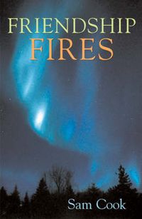 Cover image for Friendship Fires