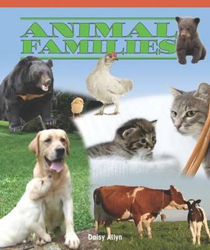 Cover image for Animal Families