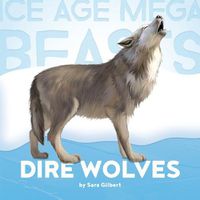 Cover image for Ice Age Mega Beasts: Dire Wolves