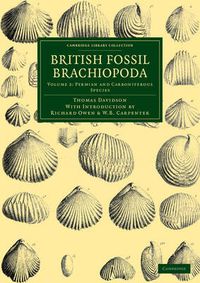 Cover image for British Fossil Brachiopoda