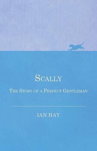 Scally - The Story of a Perfect Gentleman