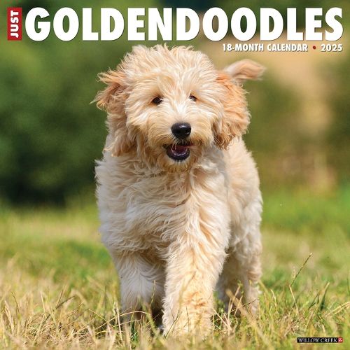 Cover image for Goldendoodles 2026 12 X 12 Wall Calendar