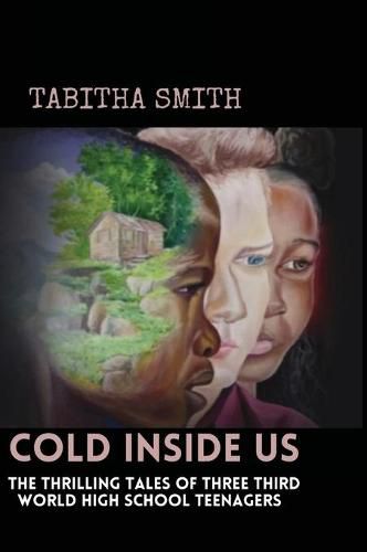 Cover image for Cold Inside Us: The Thrilling Tales of Three Third World High School Teenagers