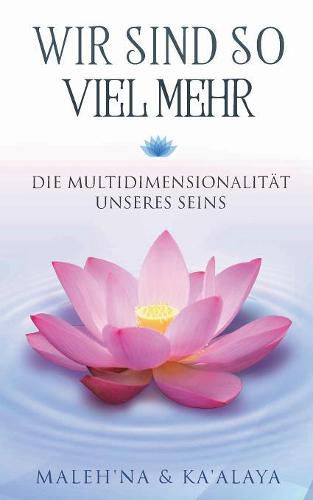 Cover image for Wir sind so viel mehr: Die Multidimensionalitat unseres Seins