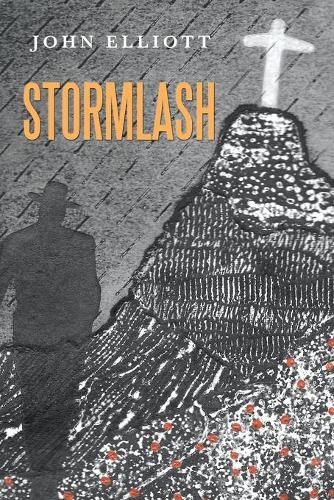 Cover image for Stormlash