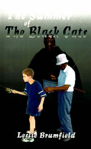 Cover image for The Summer of the Black Cats