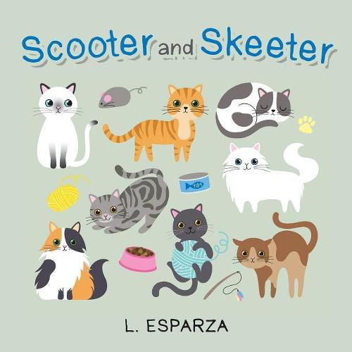 Cover image for Scooter and Skeeter