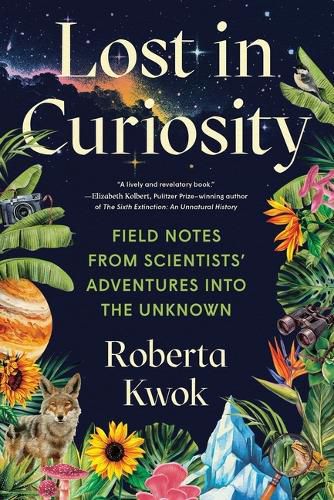 Cover image for Lost in Curiosity