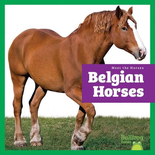 Cover image for Belgian Horses