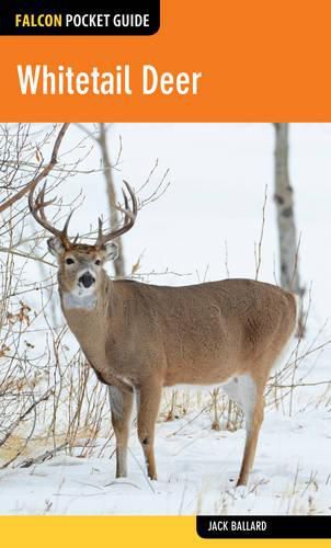 Cover image for Whitetail Deer