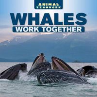 Cover image for Whales Work Together