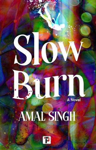 Cover image for Slow Burn