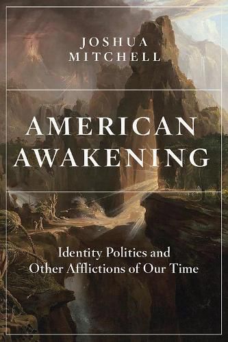 Cover image for American Awakening: Identity Politics and Other Afflictions of Our Time