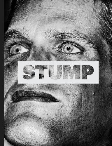 Cover image for Stump