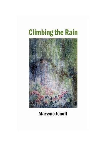 Cover image for Climbing the Rain