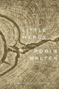 Cover image for Little Mercy