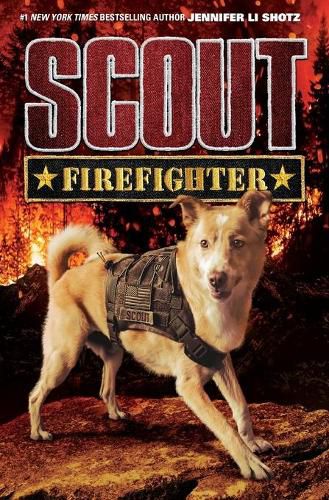 Scout: Firefighter