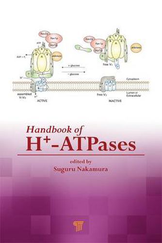 Cover image for Handbook of H+-ATPases