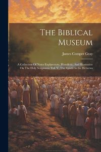 Cover image for The Biblical Museum