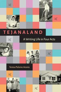 Cover image for Tejanaland: A Writing Life in Four Acts