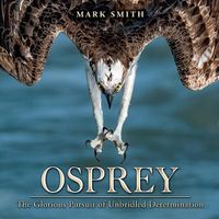 Cover image for Osprey: The Glorious Pursuit of Unbridled Determination