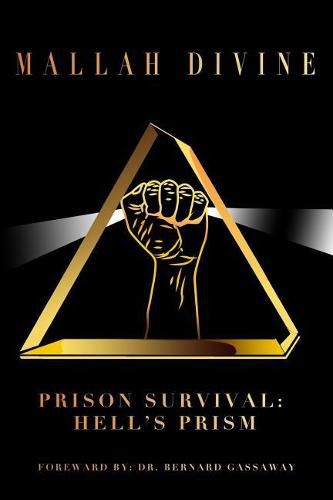 Cover image for Prison Survival: Hell's Prism