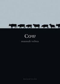 Cover image for Cow