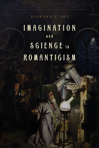 Cover image for Imagination and Science in Romanticism