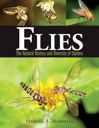 Cover image for Flies: The Natural History and Diversity of Diptera