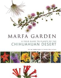 Cover image for Marfa Garden