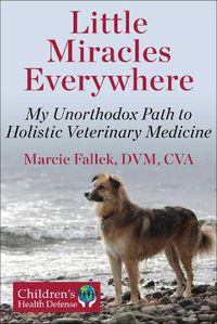 Cover image for Little Miracles Everywhere