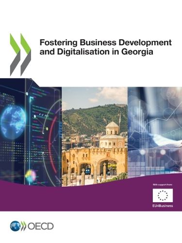 Cover image for Fostering business development and digitalisation in Georgia