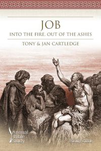 Cover image for Job: Into the Fire, Out of the Ashes