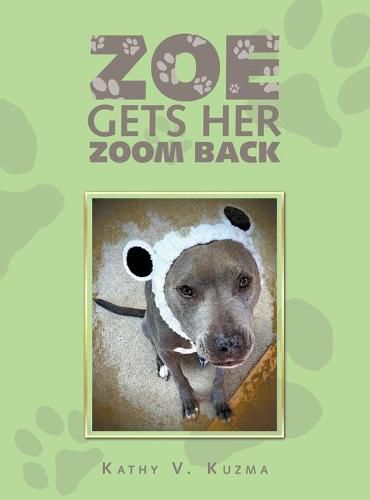 Cover image for Zoe Gets Her Zoom Back