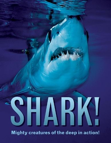 Cover image for Shark!: Mighty creatures of the deep in action!