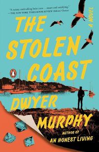 Cover image for The Stolen Coast