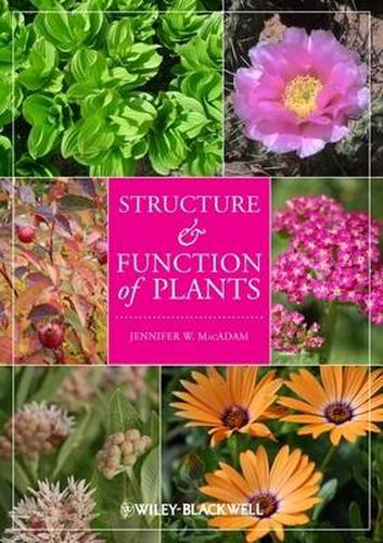 Cover image for Structure and Function of Plants