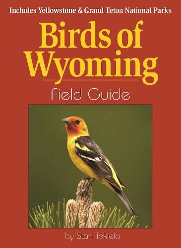 Cover image for Birds of Wyoming Field Guide: Includes Yellowstone & Grand Teton National Parks