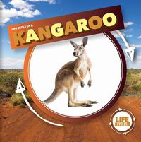 Cover image for Life Cycle of a Kangaroo