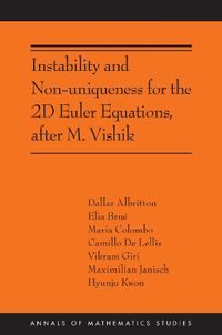 Cover image for Instability and Non-uniqueness for the 2D Euler Equations, after M. Vishik