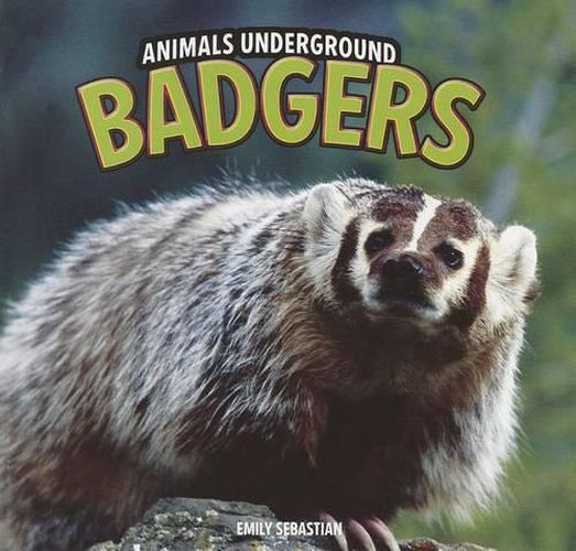 Cover image for Badgers