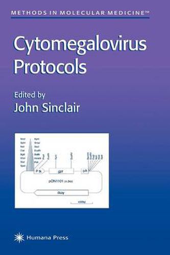 Cover image for Cytomegalovirus Protocols