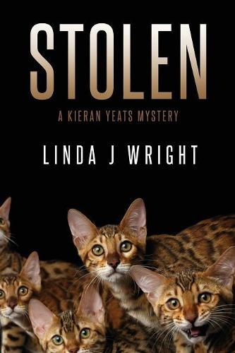 Cover image for Stolen: A Kieran Yeats Mystery