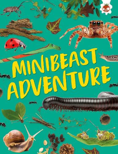 Minibeast Adventure