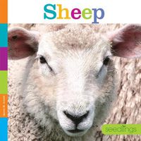 Cover image for Seedlings: Sheep