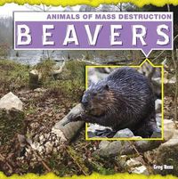 Cover image for Beavers