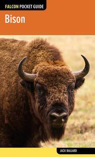 Cover image for Bison