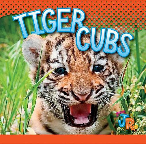 Cover image for Tiger Cubs