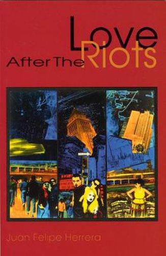 Cover image for Love After The Riots